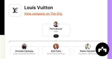 organizational structure of louis vuitton